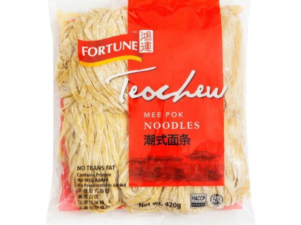 fortune-teochew-style-noodle